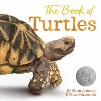 The book of turtles cover