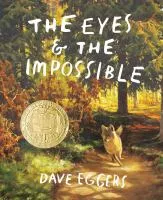 The eyes &amp; the impossible cover